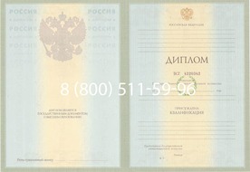 Диплом Академии Русского балета имени А.Я. Вагановой 2003-2009 годов Диплом Академии Русского балета имени А.Я. Вагановой 2003-2009 годов