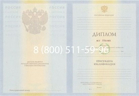 Диплом Академии Русского балета имени А.Я. Вагановой 2010-2011 годов Диплом Академии Русского балета имени А.Я. Вагановой 2010-2011 годов