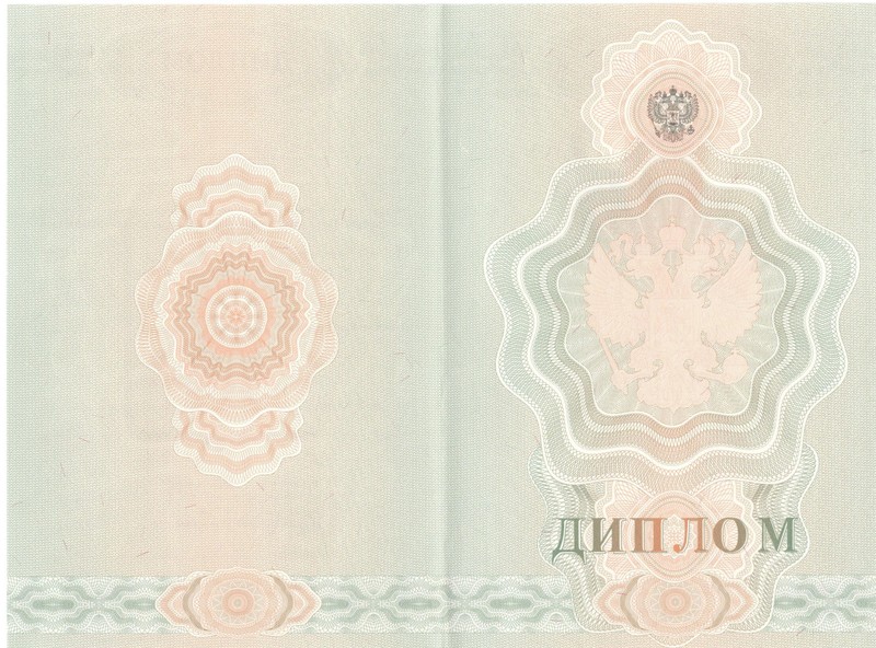Купить Диплом о начальном образовании 2007-2009 годов в Черкесске Купить Диплом о начальном образовании 2007-2009 годов в Черкесске