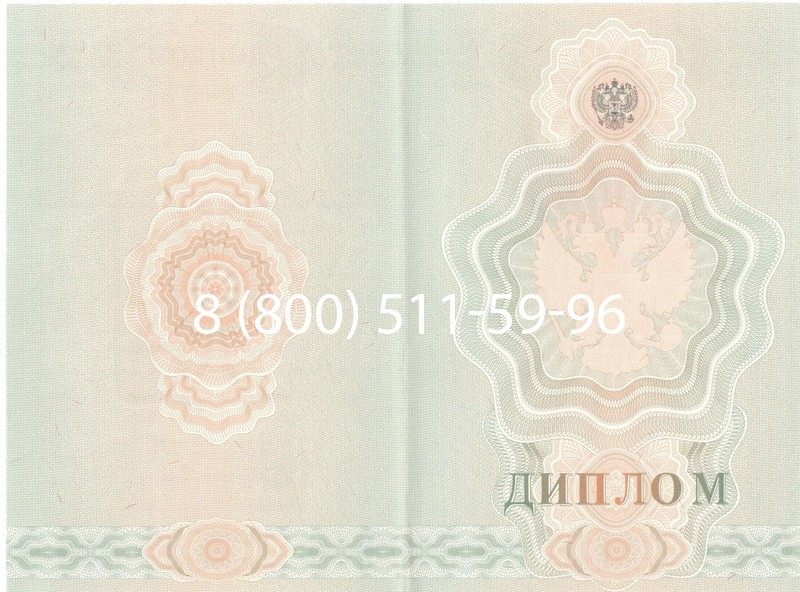 Купить Диплом училища 2007-2009 годов в Черкесске Купить Диплом училища 2007-2009 годов в Черкесске